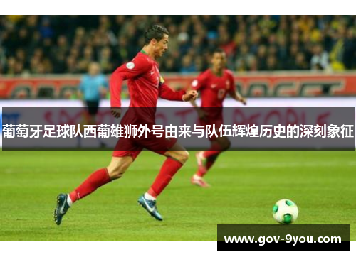 葡萄牙足球队西葡雄狮外号由来与队伍辉煌历史的深刻象征