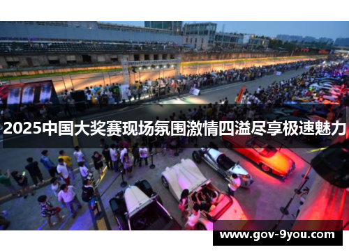 2025中国大奖赛现场氛围激情四溢尽享极速魅力