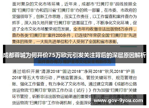 成都蓉城为何开价75万欧元引发关注背后的深层原因解析